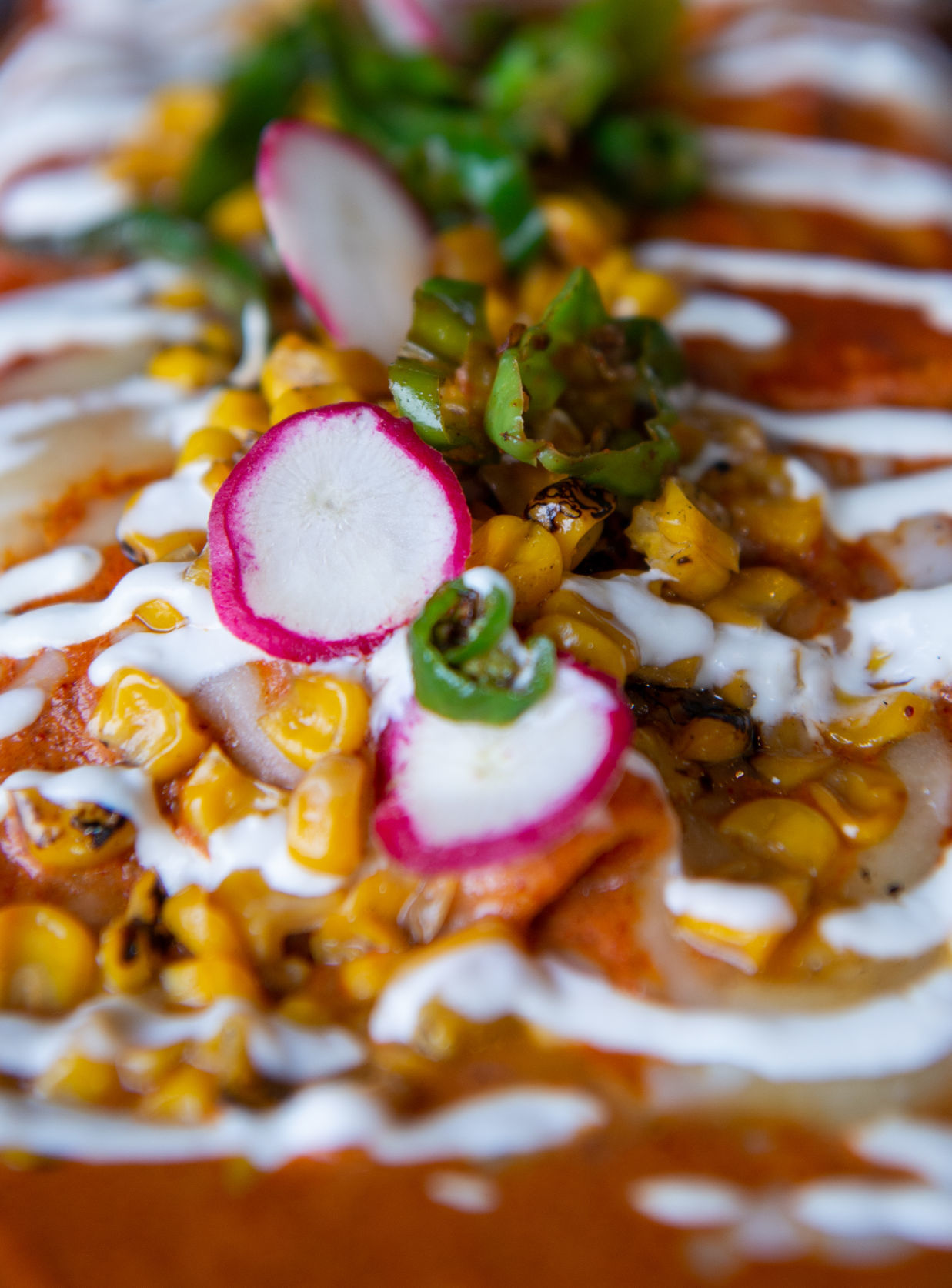 Cactus Modern Mexican & Cantina